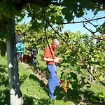 Muster Bernhard Und Gertrud Vlg. Trautenhof Bed & Breakfast 3*
