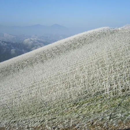 Muster Bernhard Und Gertrud Vlg. Trautenhof 住宿加早餐酒店 3*