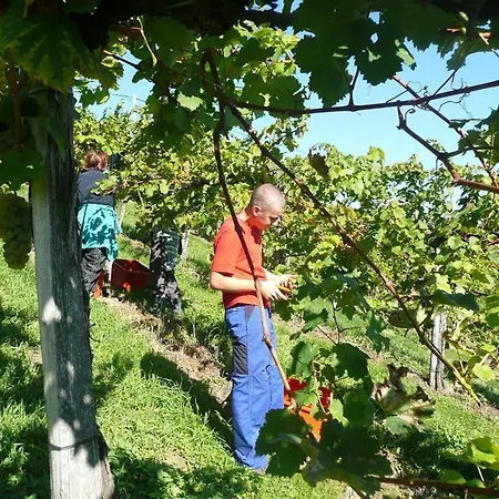 Muster Bernhard Und Gertrud Vlg. Trautenhof Bed & Breakfast 3*