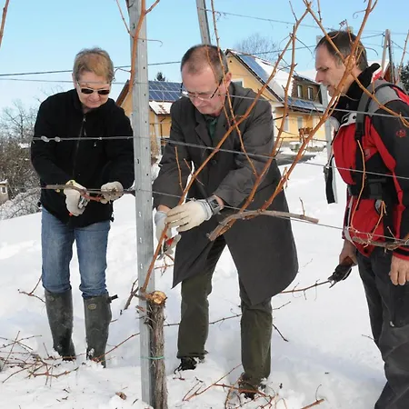 住宿加早餐酒店 Muster Bernhard Und Gertrud Vlg. Trautenhof 3*
