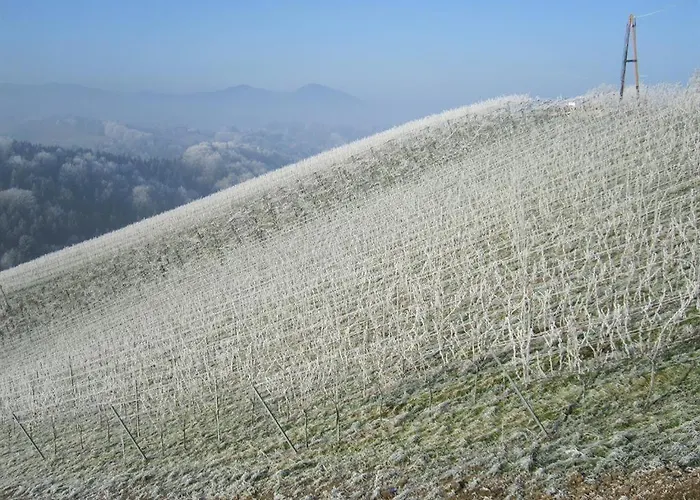 Muster Bernhard Und Gertrud Vlg. Trautenhof Bed & Breakfast 3*