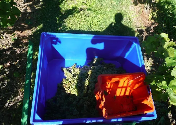 Muster Bernhard Und Gertrud Vlg. Trautenhof Leutschach