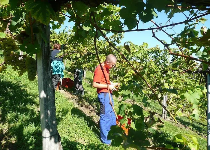 Muster Bernhard Und Gertrud Vlg. Trautenhof Bed & Breakfast 3*