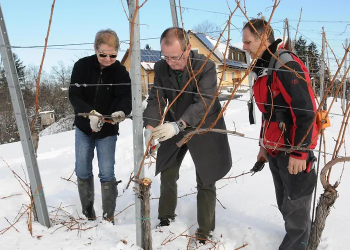 Bed & Breakfast Muster Bernhard Und Gertrud Vlg. Trautenhof 3*