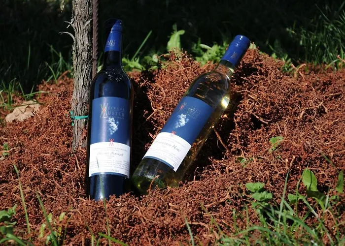 Muster Bernhard Und Gertrud Vlg. Trautenhof 3* Leutschach