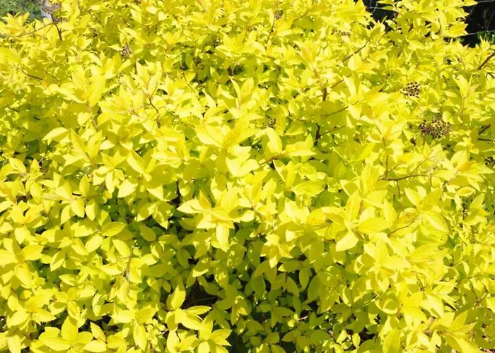 Muster Bernhard Und Gertrud Vlg. Trautenhof Bed & Breakfast Leutschach