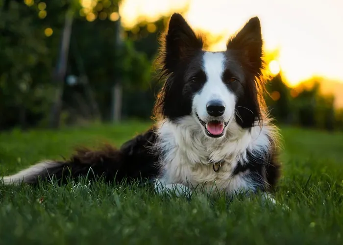 Muster Bernhard Und Gertrud Vlg. Trautenhof 3* Leutschach