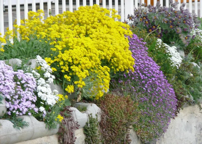 Muster Bernhard Und Gertrud Vlg. Trautenhof